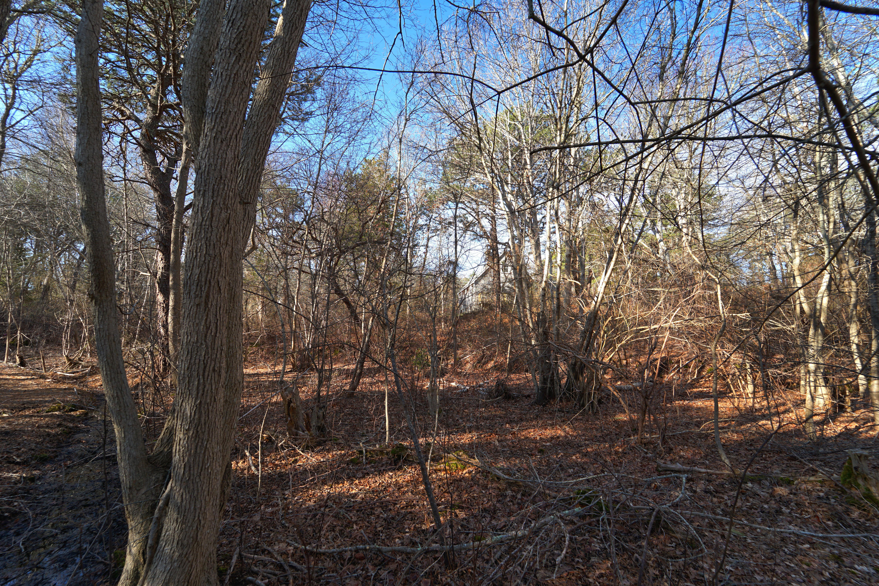 36 Foster Road East Sandwich, MA 02537 - Photo 31 of 31 DSC00705_Detail