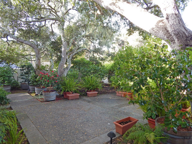 120 Littlefield Road Monterey, CA 93940 - Photo 10 of 11 Gallery Image 10