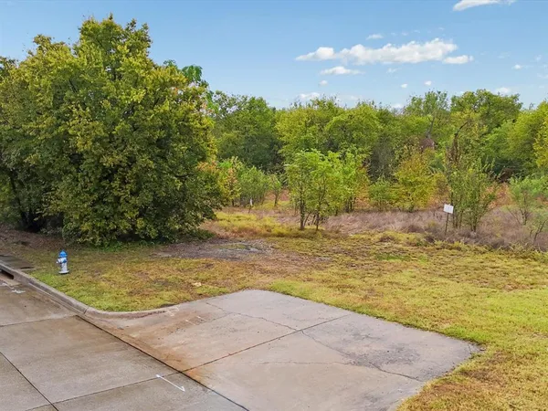 a view of a yard with a tree