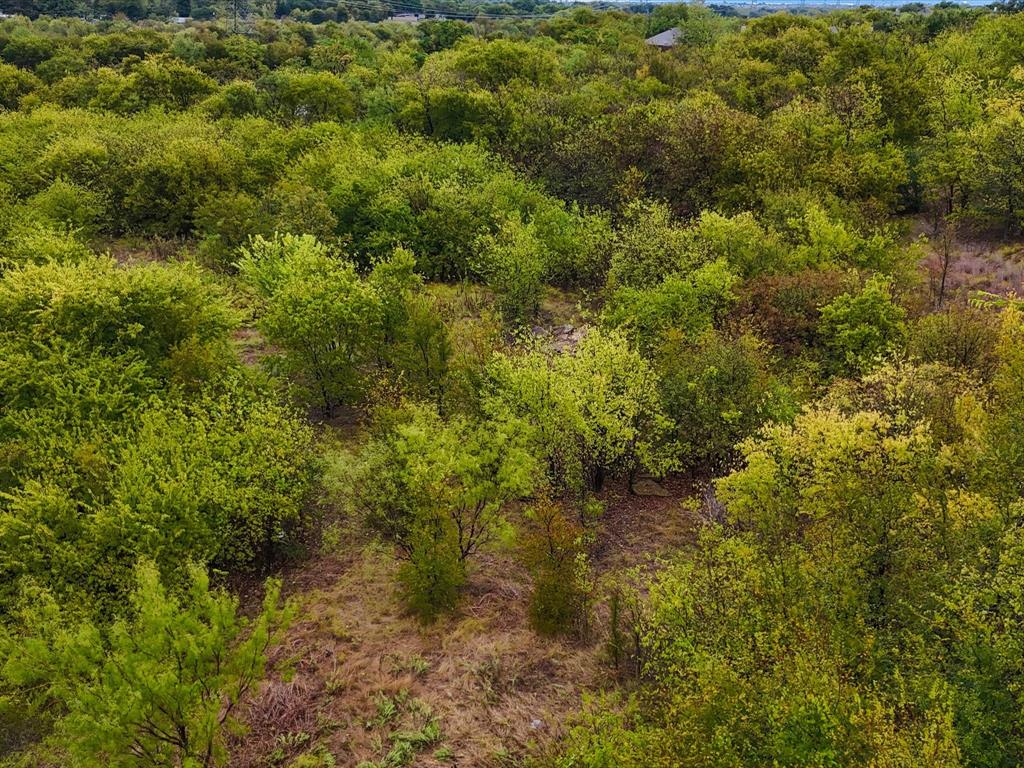 713 South Crowley Road Crowley, TX 76036 - Photo 22 of 24 a view of a forest