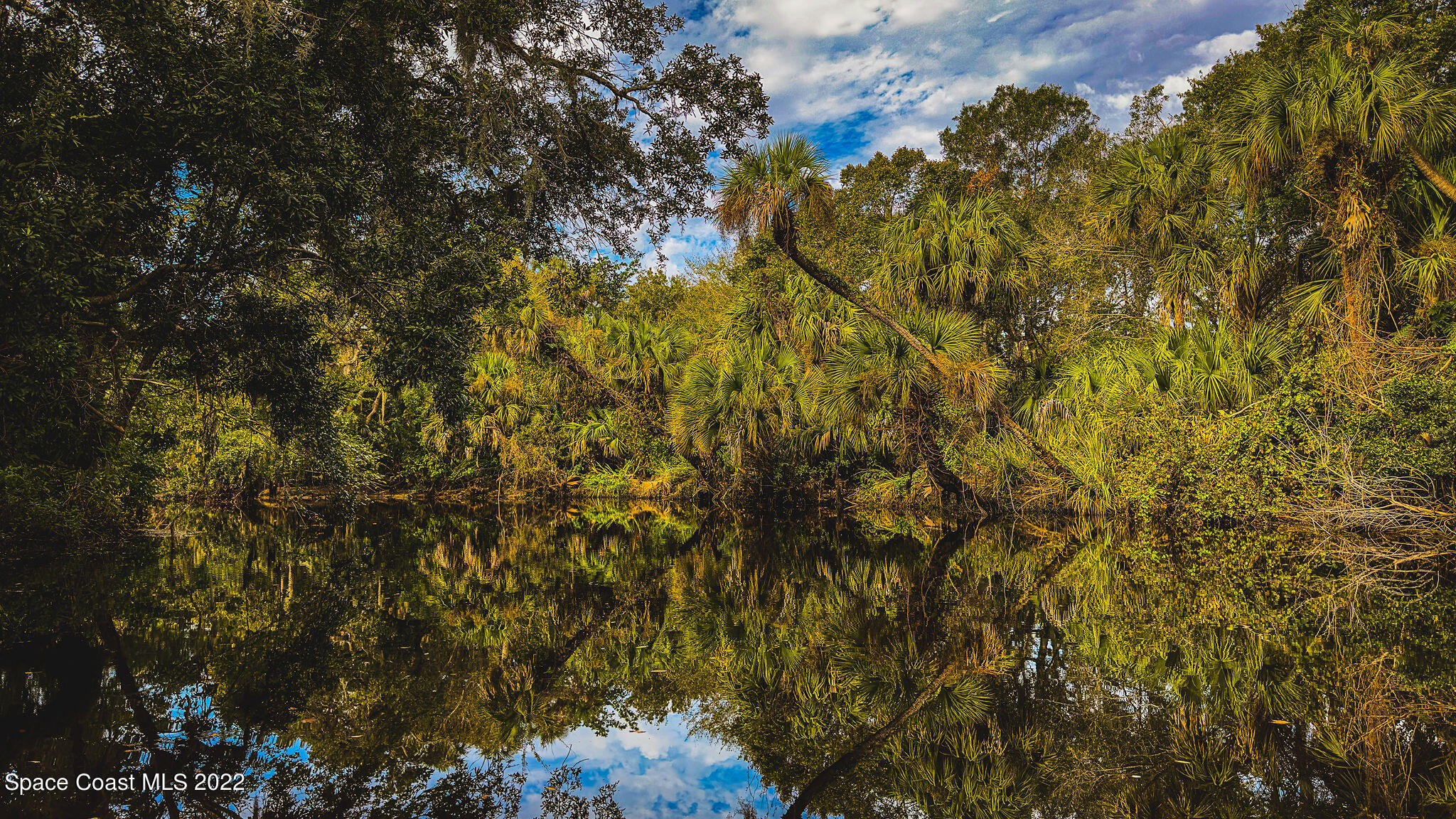 960 Falls Trail Malabar, FL 32950 - Photo 65 of 70 Turkey Creek