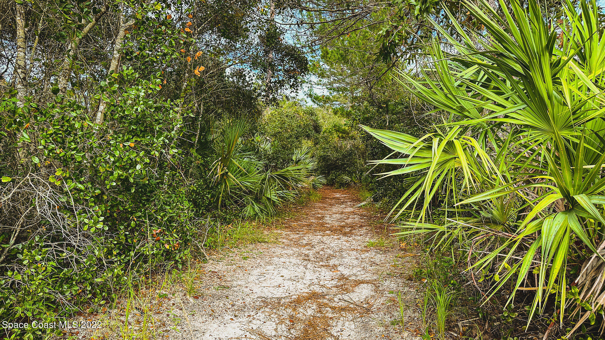 960 Falls Trail Malabar, FL 32950 - Photo 68 of 70 Nature trails
