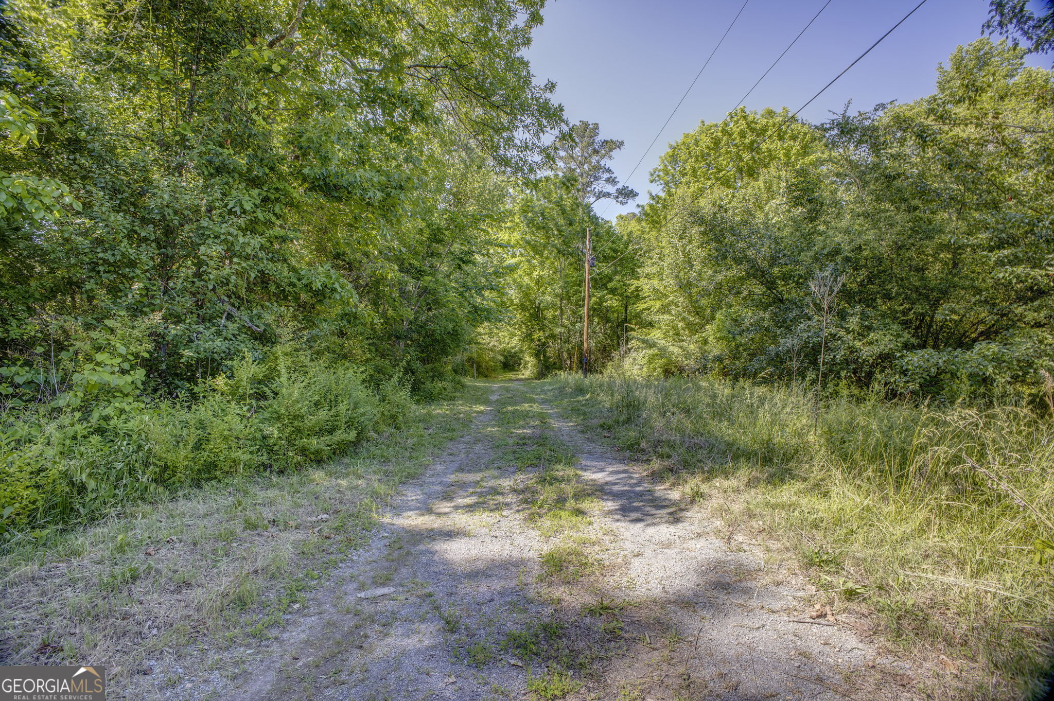 50 Melton Avenue Southwest Rome, GA 30165 - Photo 2 of 5 a view of a yard with a tree