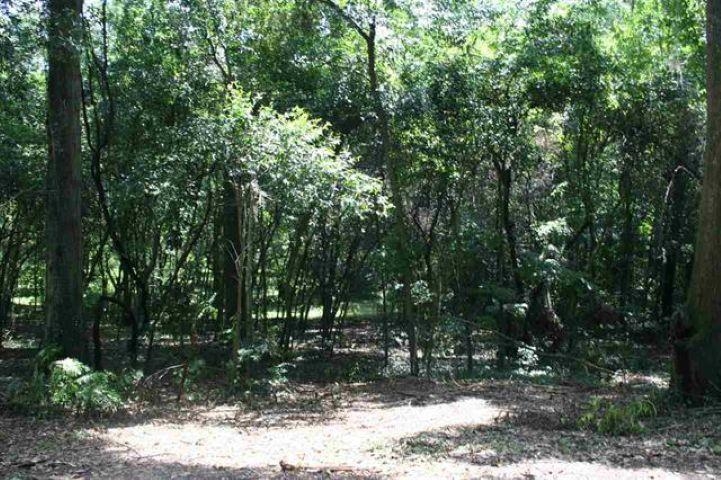 0 Rhoden Cove Road Tallahassee, FL 32312 - Photo 1 of 2 Gallery Image 1