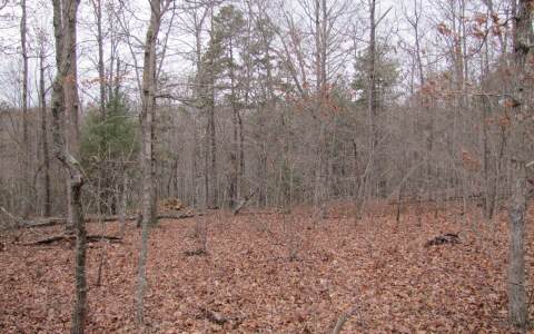 3-ac Thomas Mountain Road Morganton, GA 30560 - Photo 1 of 1 Main View