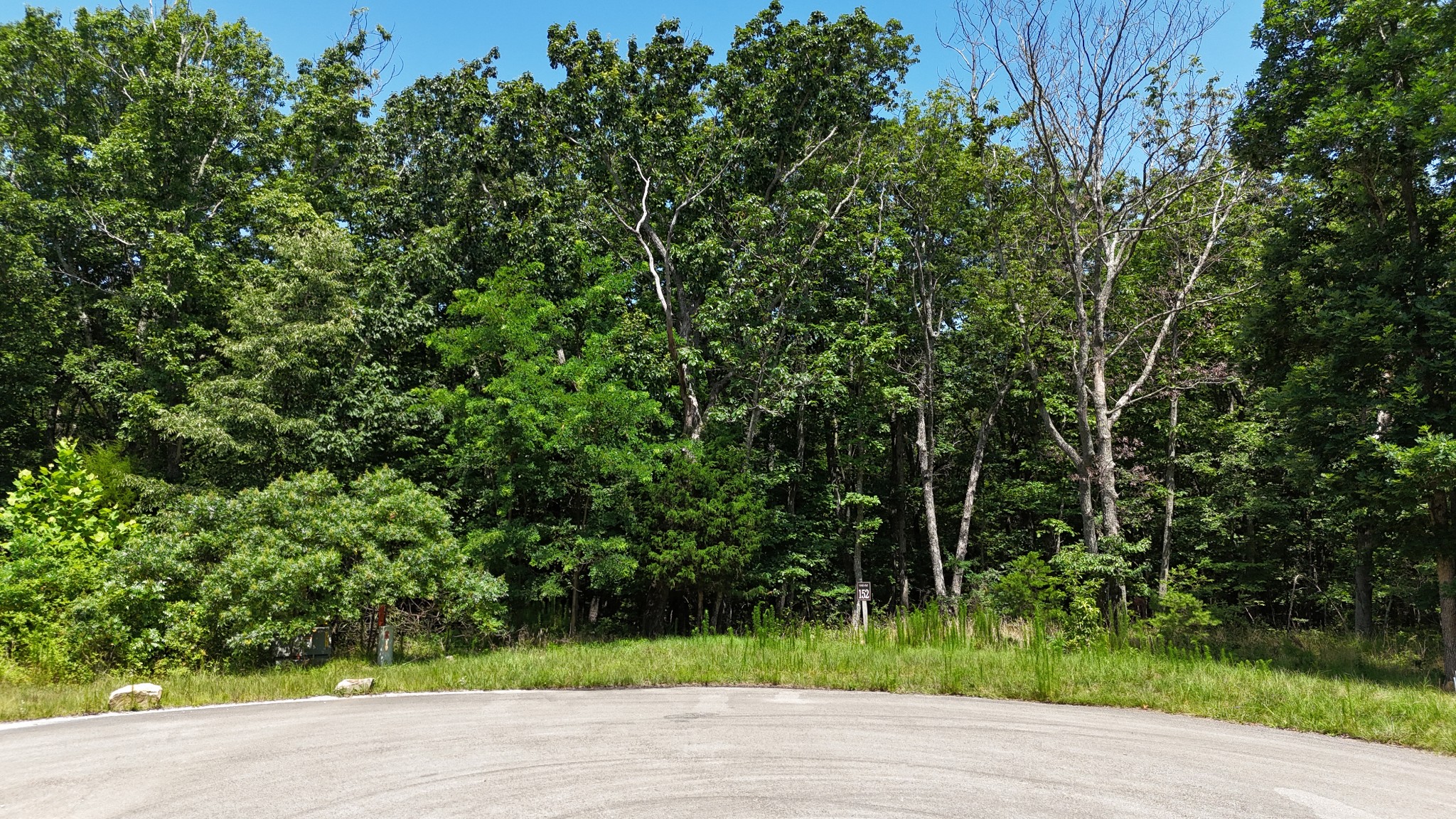 0 Brow Road Pelham, TN 37366 - Photo 19 of 32 a view of a yard
