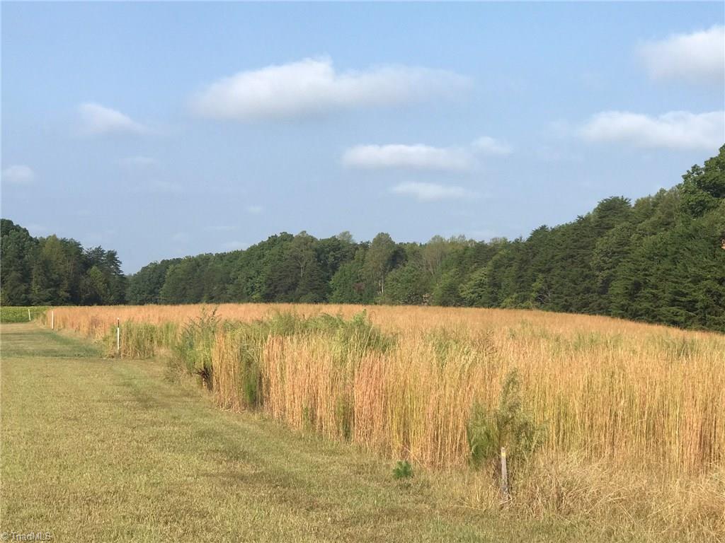 8505 Oak Level Church Road Stokesdale, NC 27357 - Photo 11 of 15 Gallery Image 11