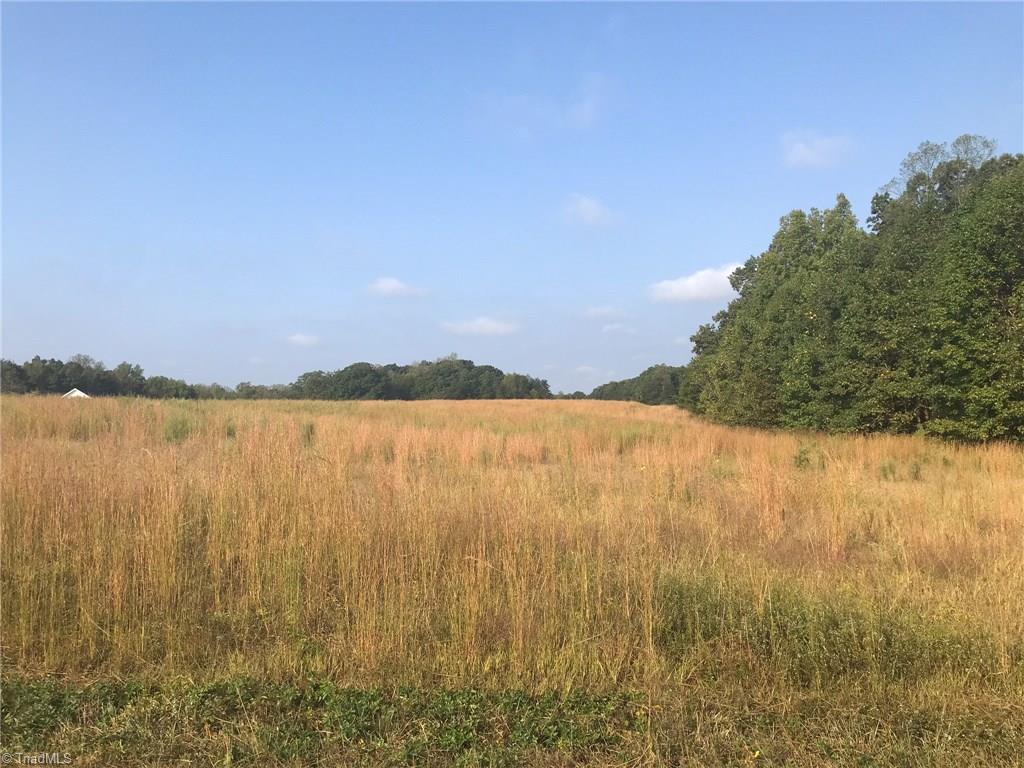 8505 Oak Level Church Road Stokesdale, NC 27357 - Photo 4 of 15 Gallery Image 4
