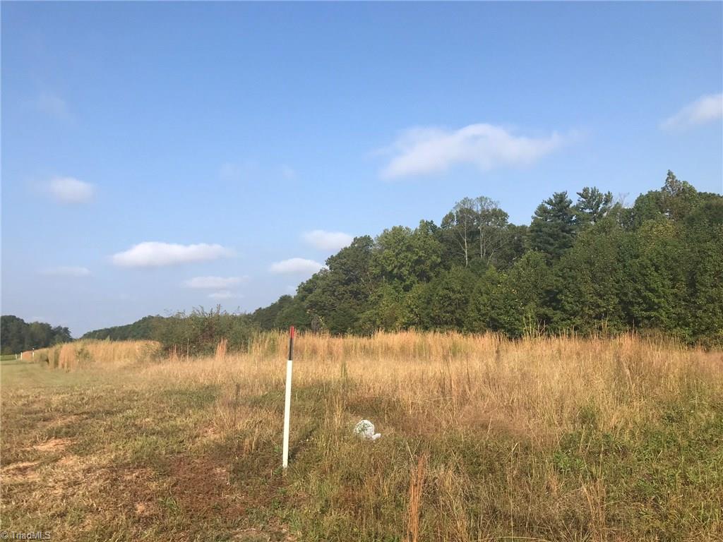 8505 Oak Level Church Road Stokesdale, NC 27357 - Photo 5 of 15 Gallery Image 5
