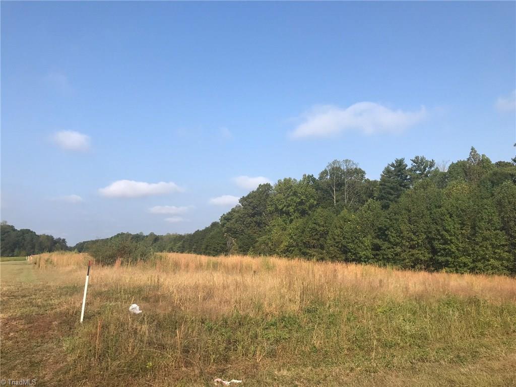 8505 Oak Level Church Road Stokesdale, NC 27357 - Photo 6 of 15 Gallery Image 6