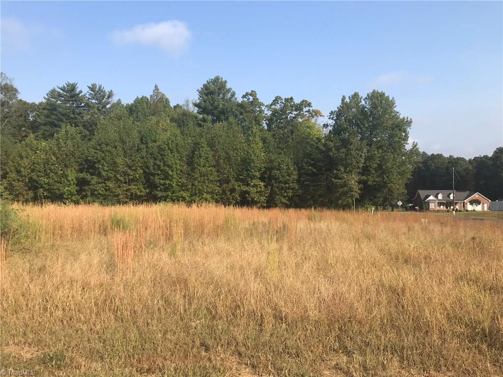 8505 Oak Level Church Road Stokesdale, NC 27357 - Photo 9 of 15 Gallery Image 9