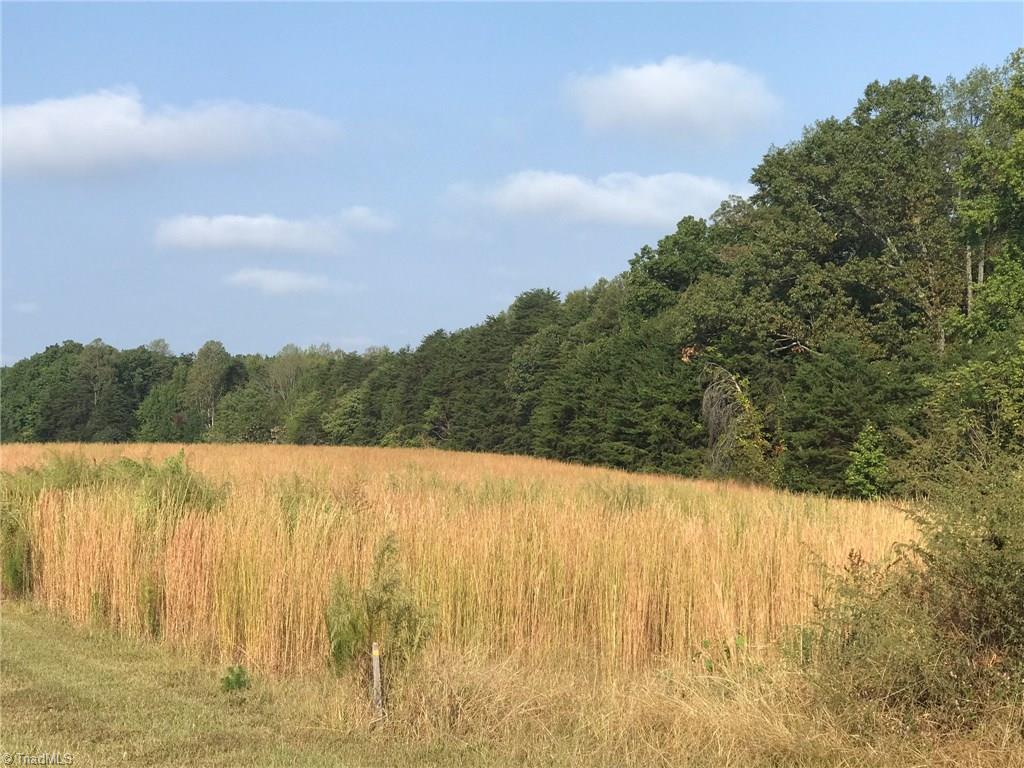 8505 Oak Level Church Road Stokesdale, NC 27357 - Photo 10 of 15 Gallery Image 10