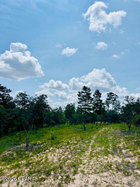 0 Lake Ridge Drive Chipley, FL 32428 - Photo 17 of 21