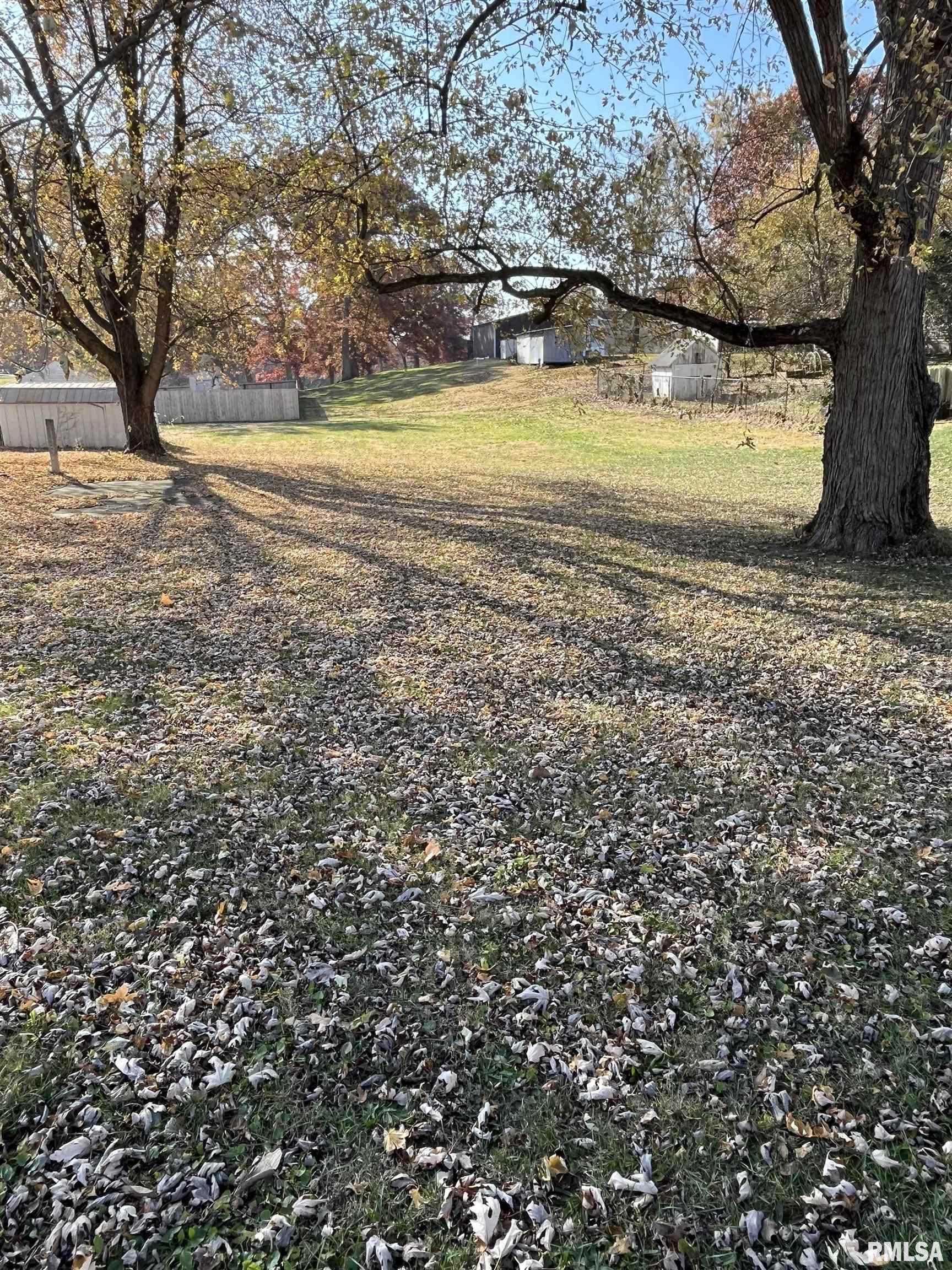 606 West Madison Street Athens, IL 62613 - Photo 14 of 16 Gallery Image 14