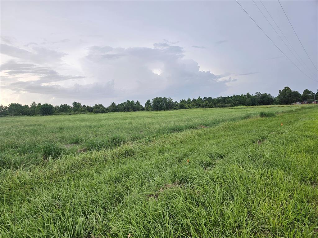 837 Campbell Road Fort Meade, FL 33841 - Photo 4 of 4 a view of a big yard with a house in the background