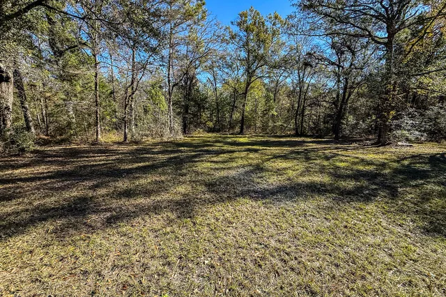 a view of dirt yard with trees