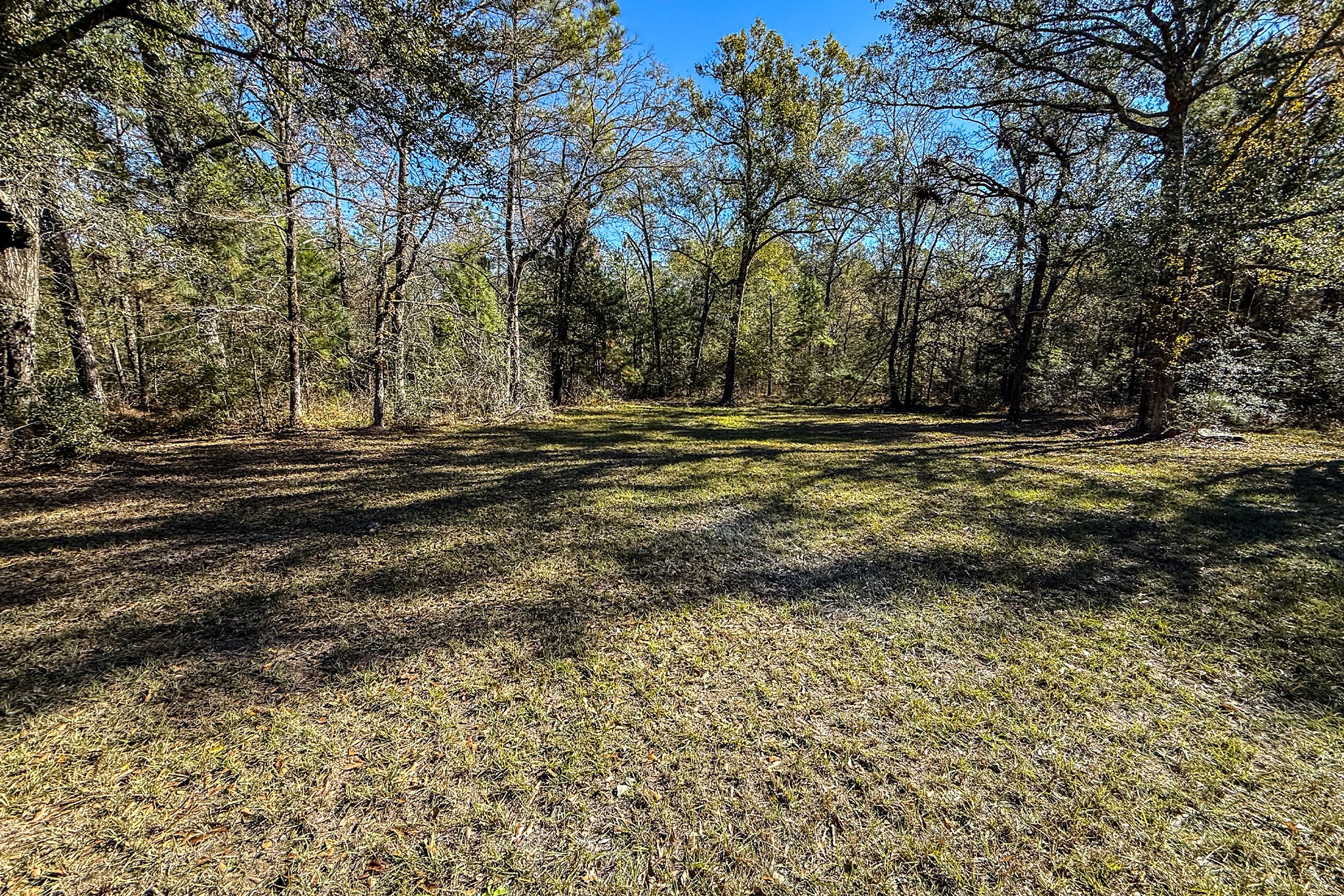 51 Murphy Farm Road Huntsville, TX 77320 - Photo 28 of 31