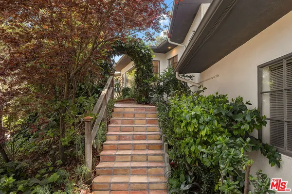 a view of stairs with plants
