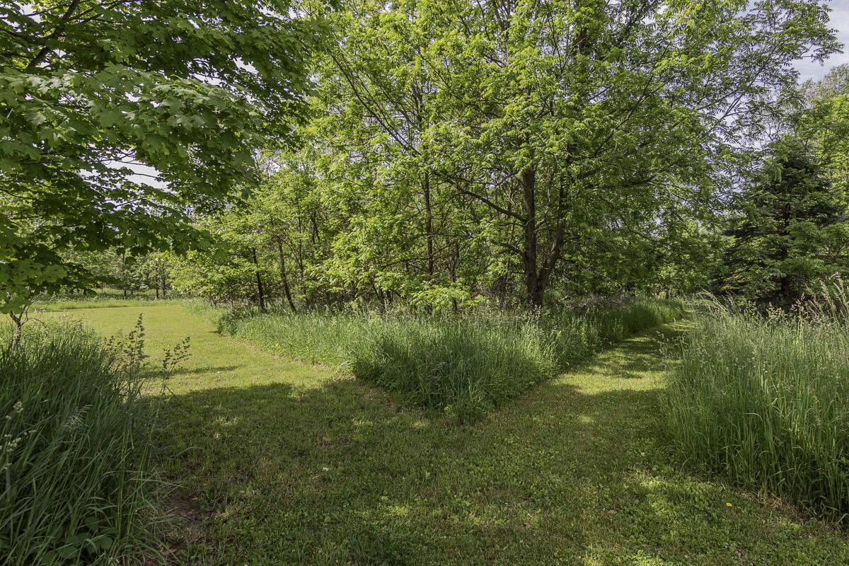 11481 Cressey Road Plainwell, MI 49080 - Photo 105 of 107 11481Cressey-13