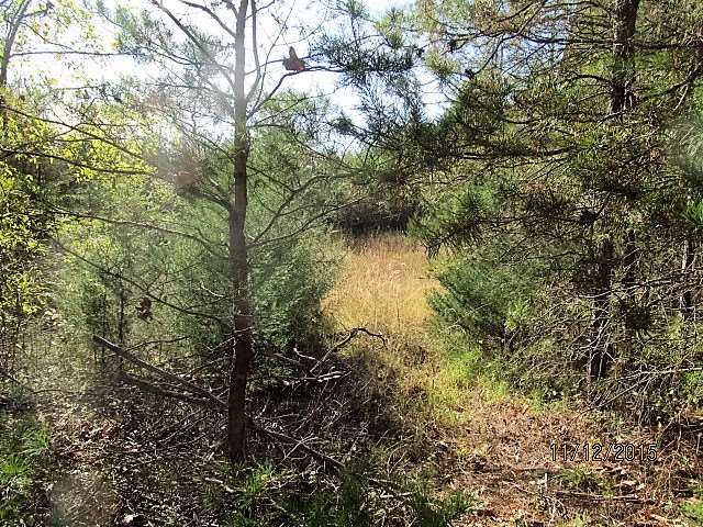 0 Old Factory Road Lancaster, SC 29720 - Photo 1 of 1