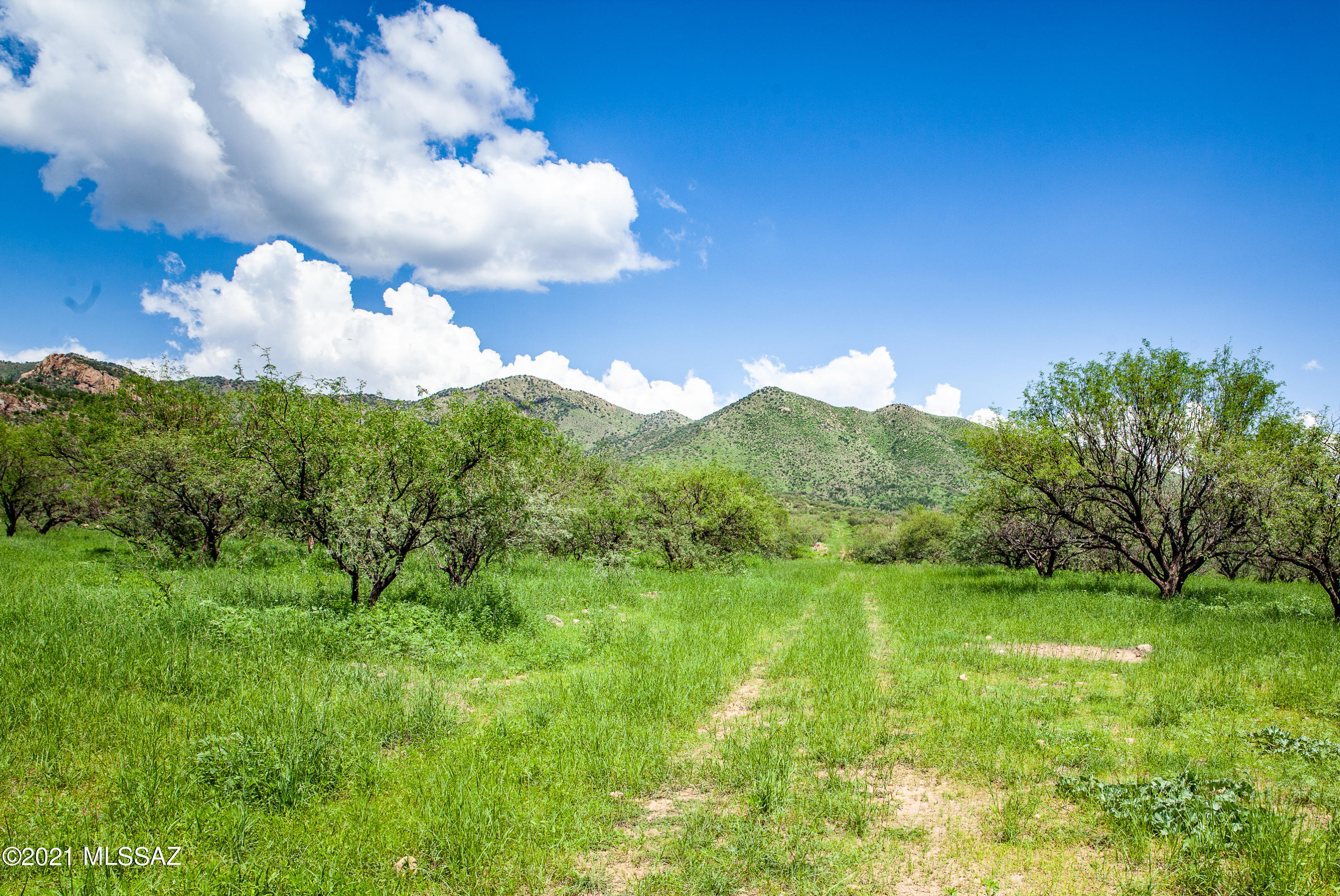 Tbd Tbd Salero Canyon Road, Unit 132 Rio Rico, AZ 85648 - Photo 2 of 12