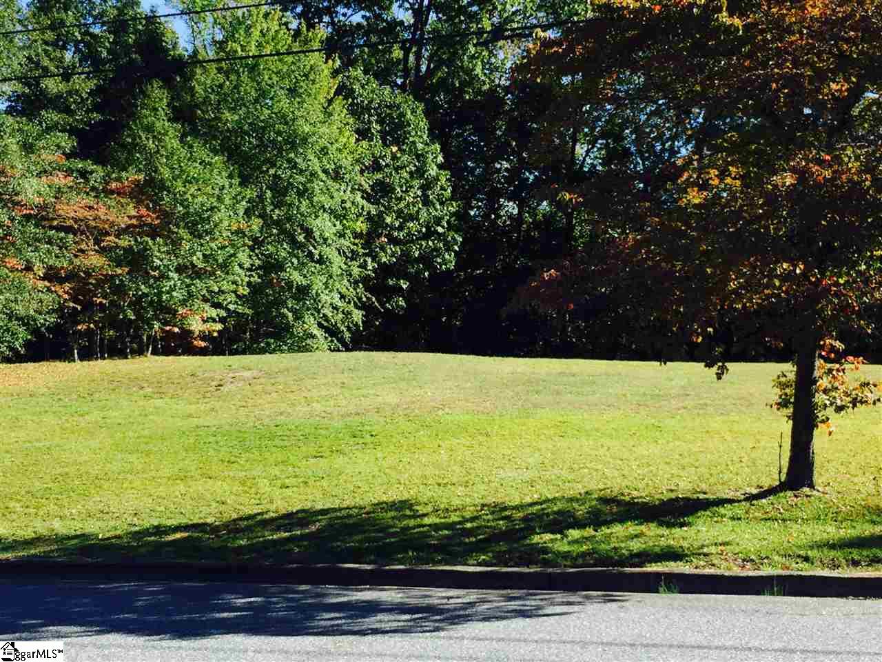 0 Tryon Street Extension Greer, SC 29651 - Photo 3 of 4