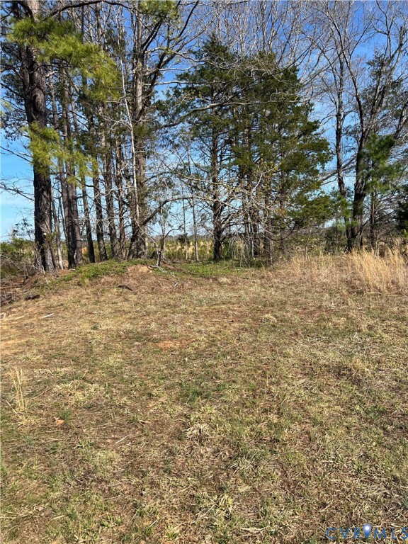 0 Hobbs Mill Road Blackstone, VA 23824 - Photo 11 of 12