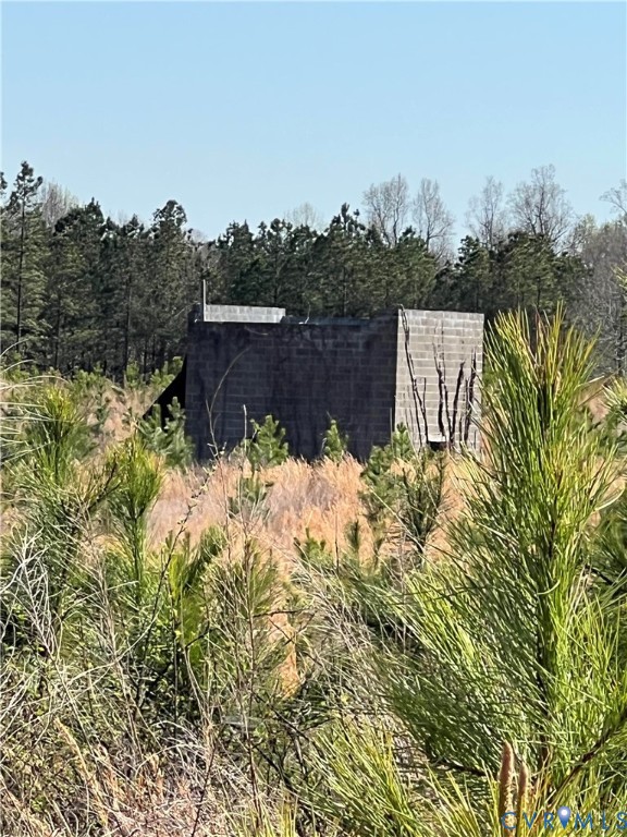 0 Hobbs Mill Road Blackstone, VA 23824 - Photo 12 of 12