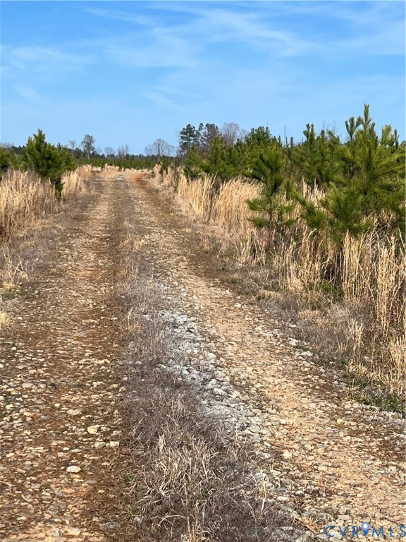 0 Hobbs Mill Road Blackstone, VA 23824 - Photo 2 of 12