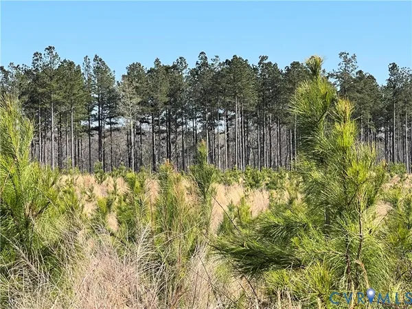 $499,950 | 0 Hobbs Mill Road, Blackstone, VA 23824