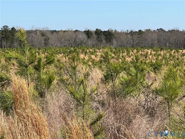 $499,950 | 0 Hobbs Mill Road, Blackstone, VA 23824