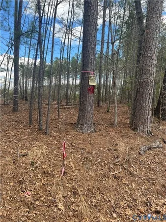 $499,950 | 0 Hobbs Mill Road, Blackstone, VA 23824