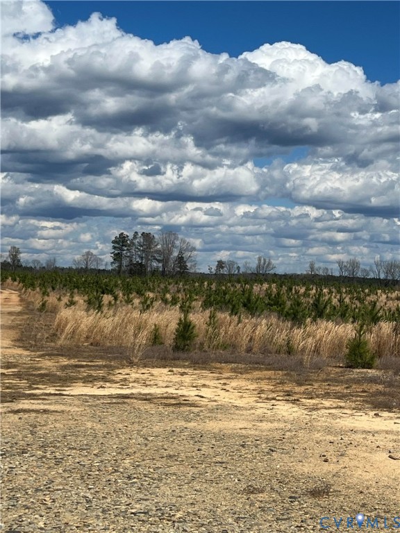 0 Hobbs Mill Road Blackstone, VA 23824 - Photo 7 of 12