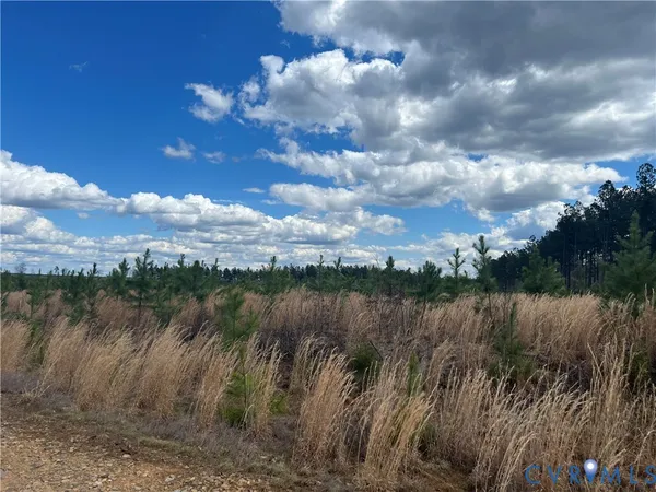 $499,950 | 0 Hobbs Mill Road, Blackstone, VA 23824