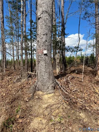 $499,950 | 0 Hobbs Mill Road, Blackstone, VA 23824