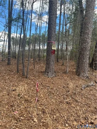 $499,950 | 0 Hobbs Mill Road, Blackstone, VA 23824