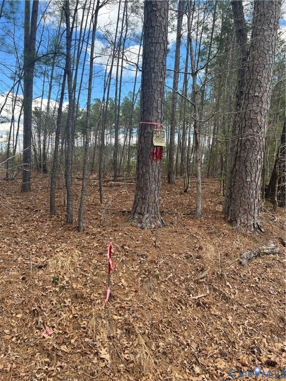 0 Hobbs Mill Road Blackstone, VA 23824 - Photo 10 of 12