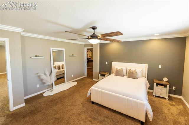 2415 Reed Grass Way Colorado Springs, CO 80915 - Photo 29 of 50 Gallery Image 29
