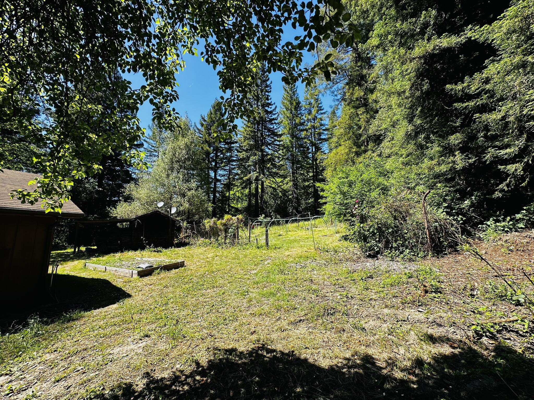 2675 Briceland Road Redway, CA 95560 - Photo 81 of 113 IMG_1303