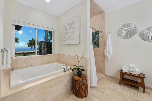 a bathroom with a tub and a shower