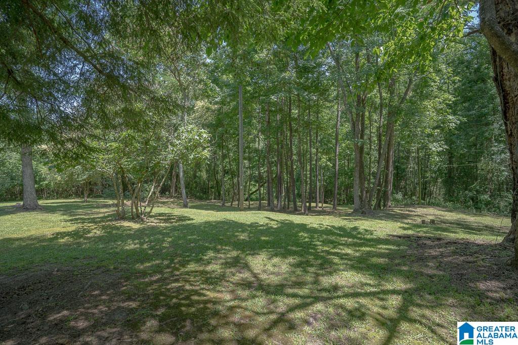 181 Old Lodge Road Woodstock, AL 35188 - Photo 40 of 51