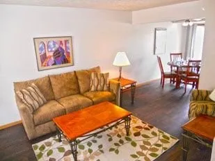 a living room with furniture a rug and a table