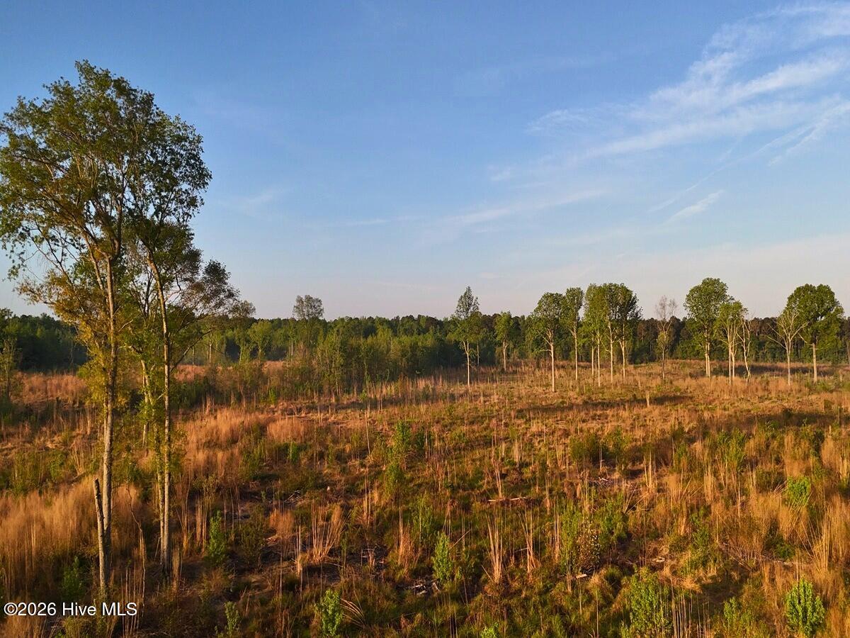0 Durwood Evans Road Beulaville, NC 28518 - Photo 26 of 68 26.