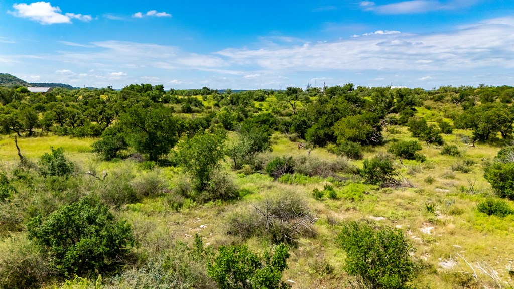 0 Jack Rabbit Road Doss, TX 78618 - Photo 17 of 20