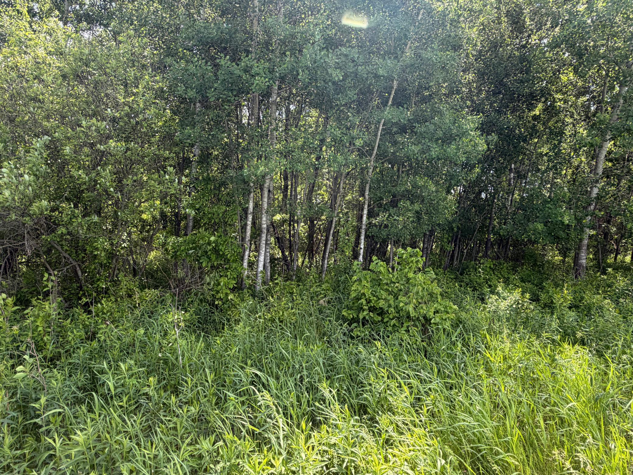 Tbd-b 180th Street Milaca, MN 56353 - Photo 6 of 80