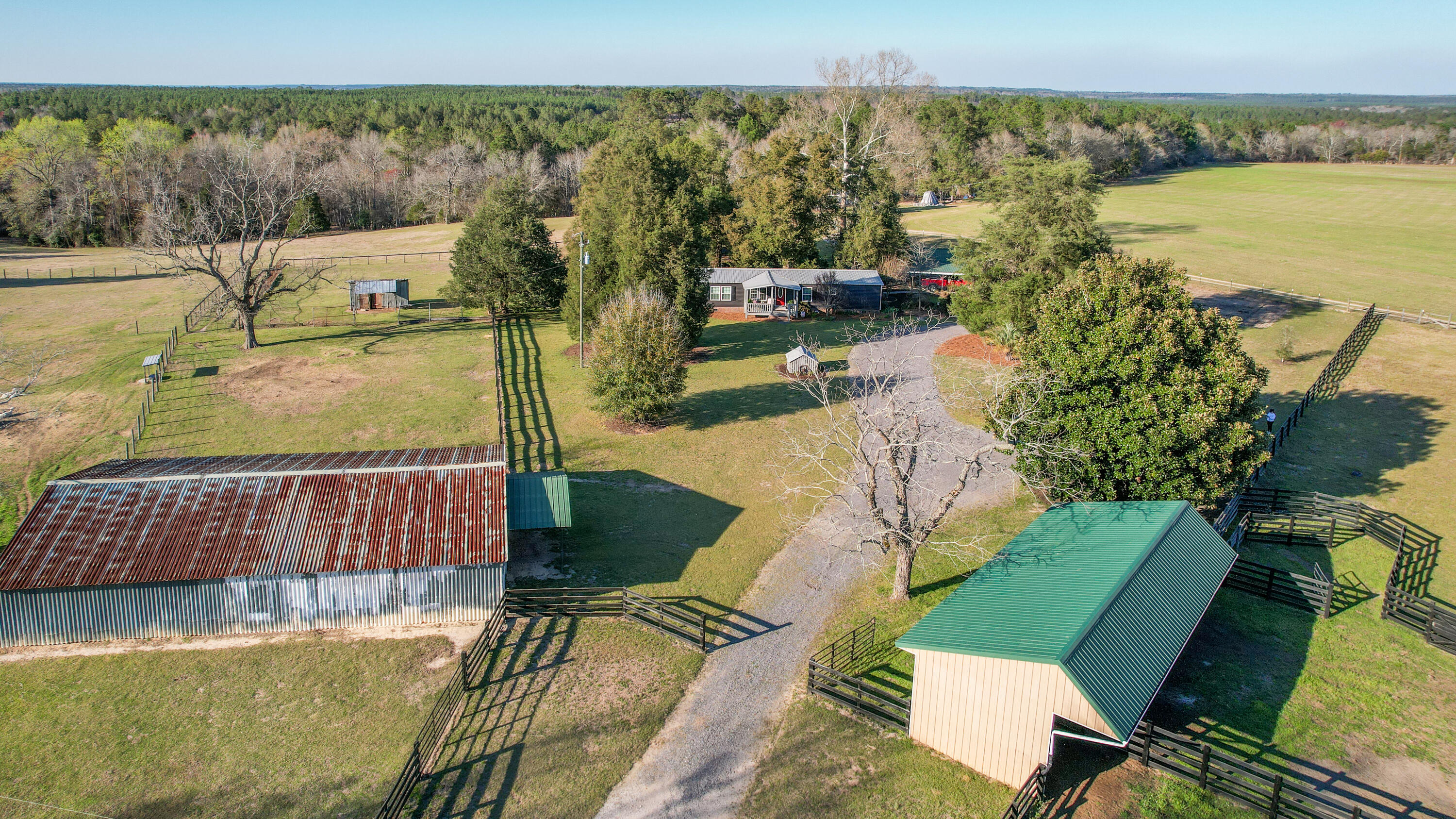 968 Gunter Pond Road Wagener, SC 29164 - Photo 7 of 53