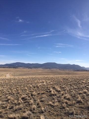 4645 Elkhorn Road Hartsel, CO 80449 - Photo 1 of 16