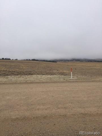 4645 Elkhorn Road Hartsel, CO 80449 - Photo 7 of 16