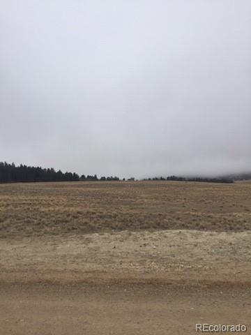 4645 Elkhorn Road Hartsel, CO 80449 - Photo 9 of 16