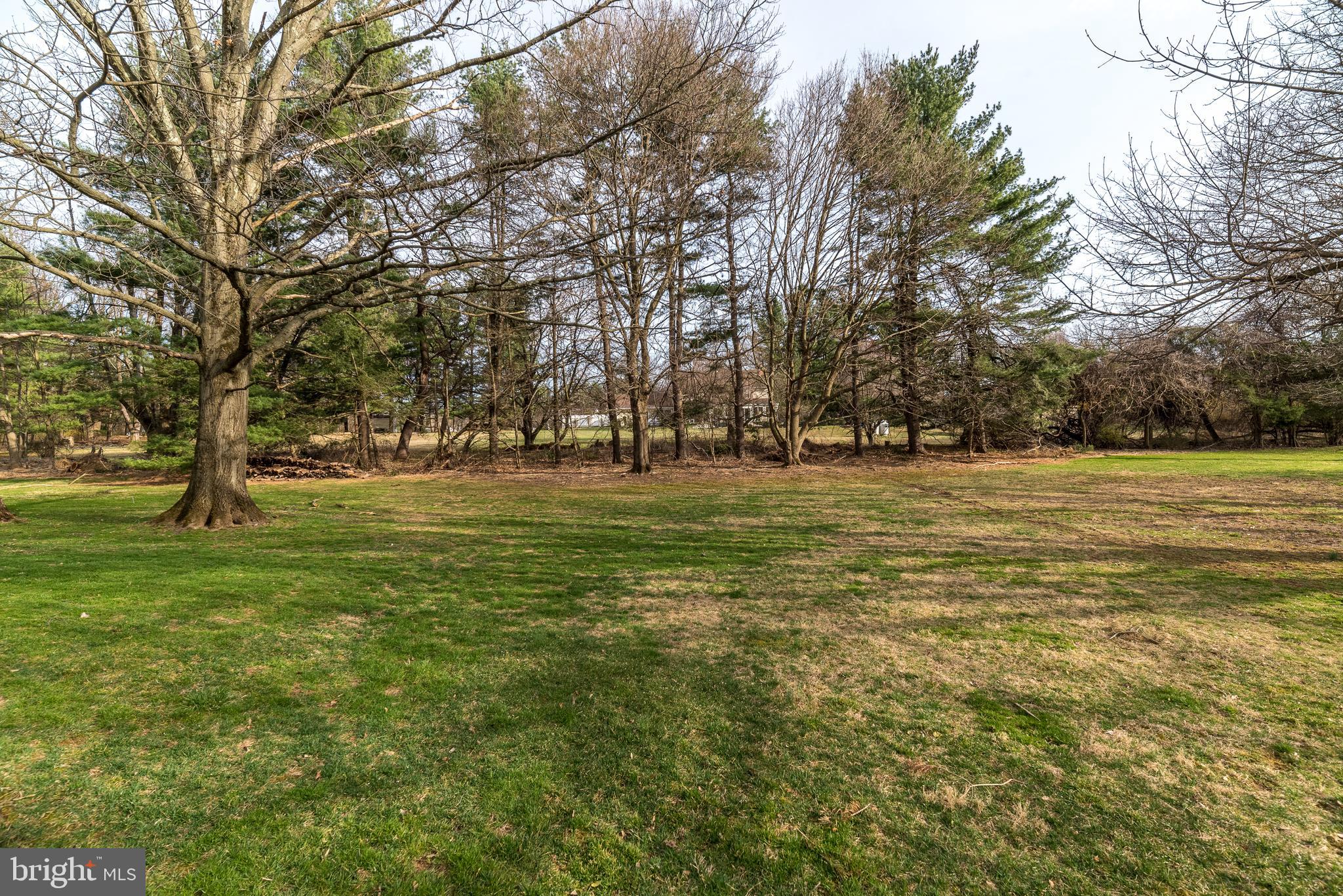 5885 North Deer Run Road Doylestown, PA 18902 - Photo 25 of 27 Rear yard